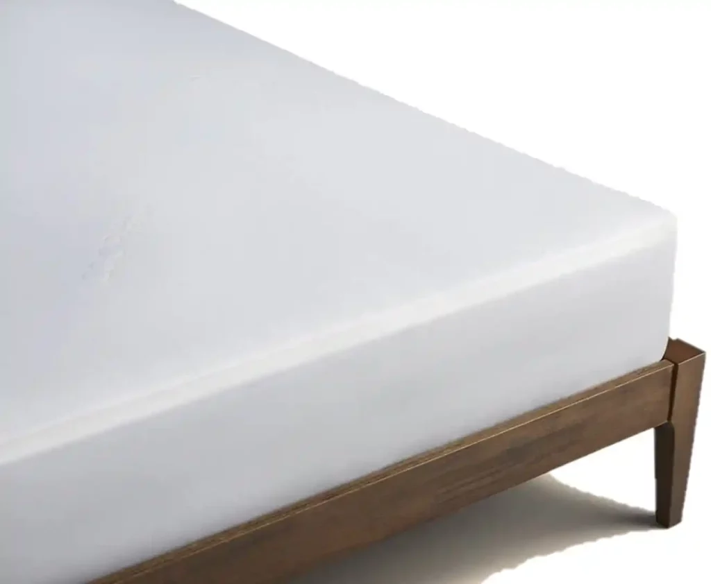 Coop Home Goods Premium Bamboo Queen Mattress Protector