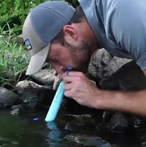 drink directly from the water source