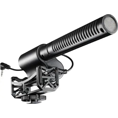 directional microphone